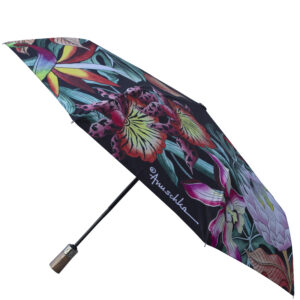 Umbrella